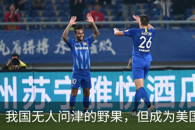我国无人问津的野果，但成为美国人的心头宝，60元1斤供不应求？