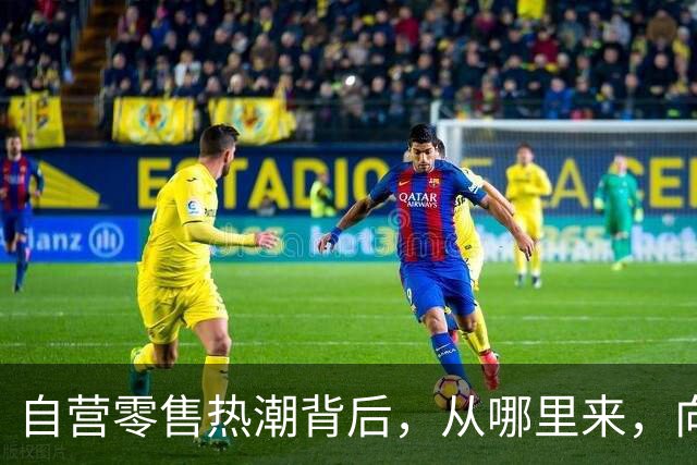自营零售热潮背后，从哪里来，向何处去？